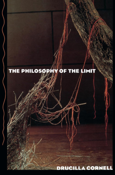 The Philosophy of the Limit