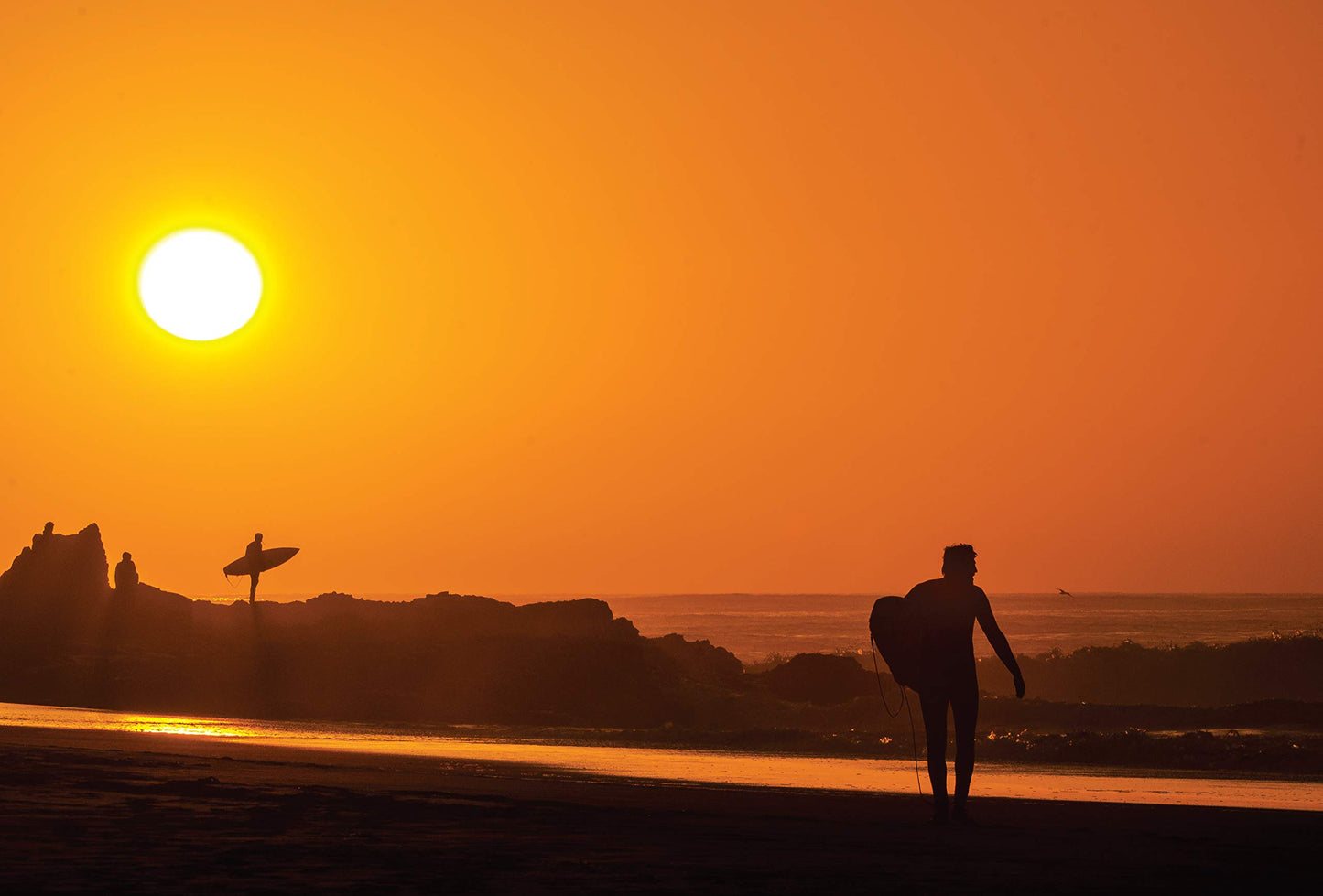Distant Shores: Surfing the Ends of the Earth