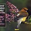 Familiar Birds of North America: Eastern Region (National Audubon Society Pocket Guides)