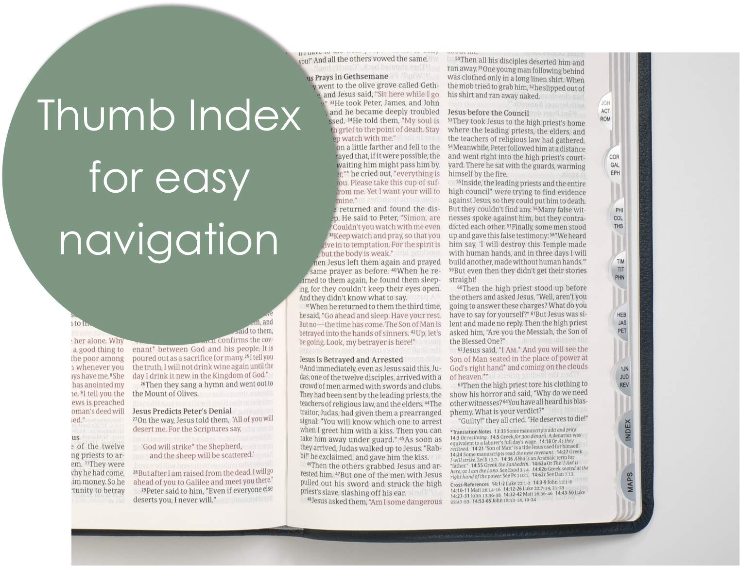 NLT Large Print Thinline Reference Holy Bible (Red Letter, Genuine Leather, Navy Blue, Indexed): Includes Free Access to the Filament Bible App ... Notes, Devotionals, Worship Music, and Video