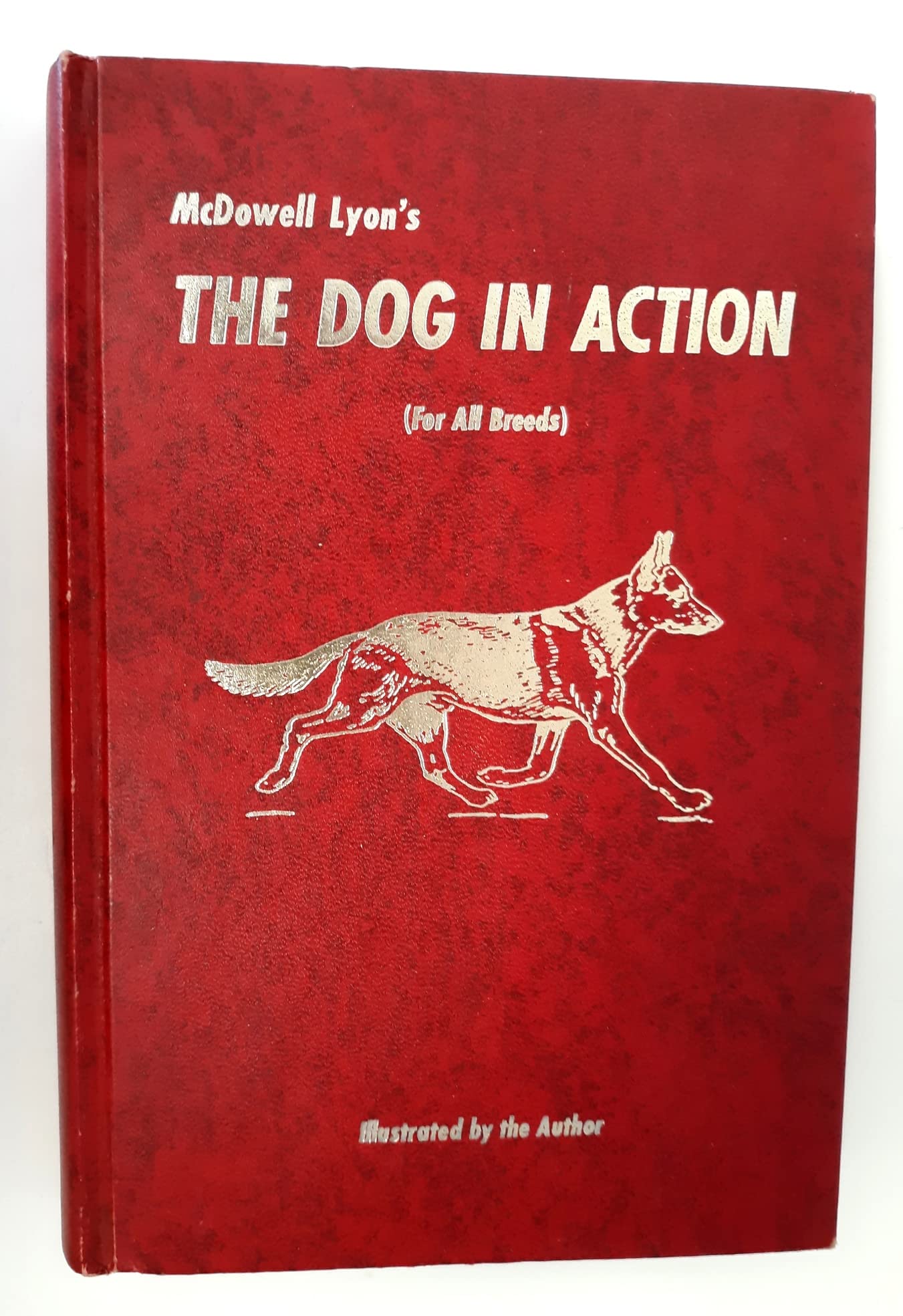 The Dog in Action: A Study of Anatomy and Locomotion As Appl