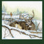 Deer Diaries