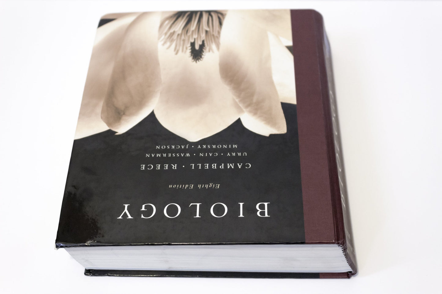 Biology, 8th Edition