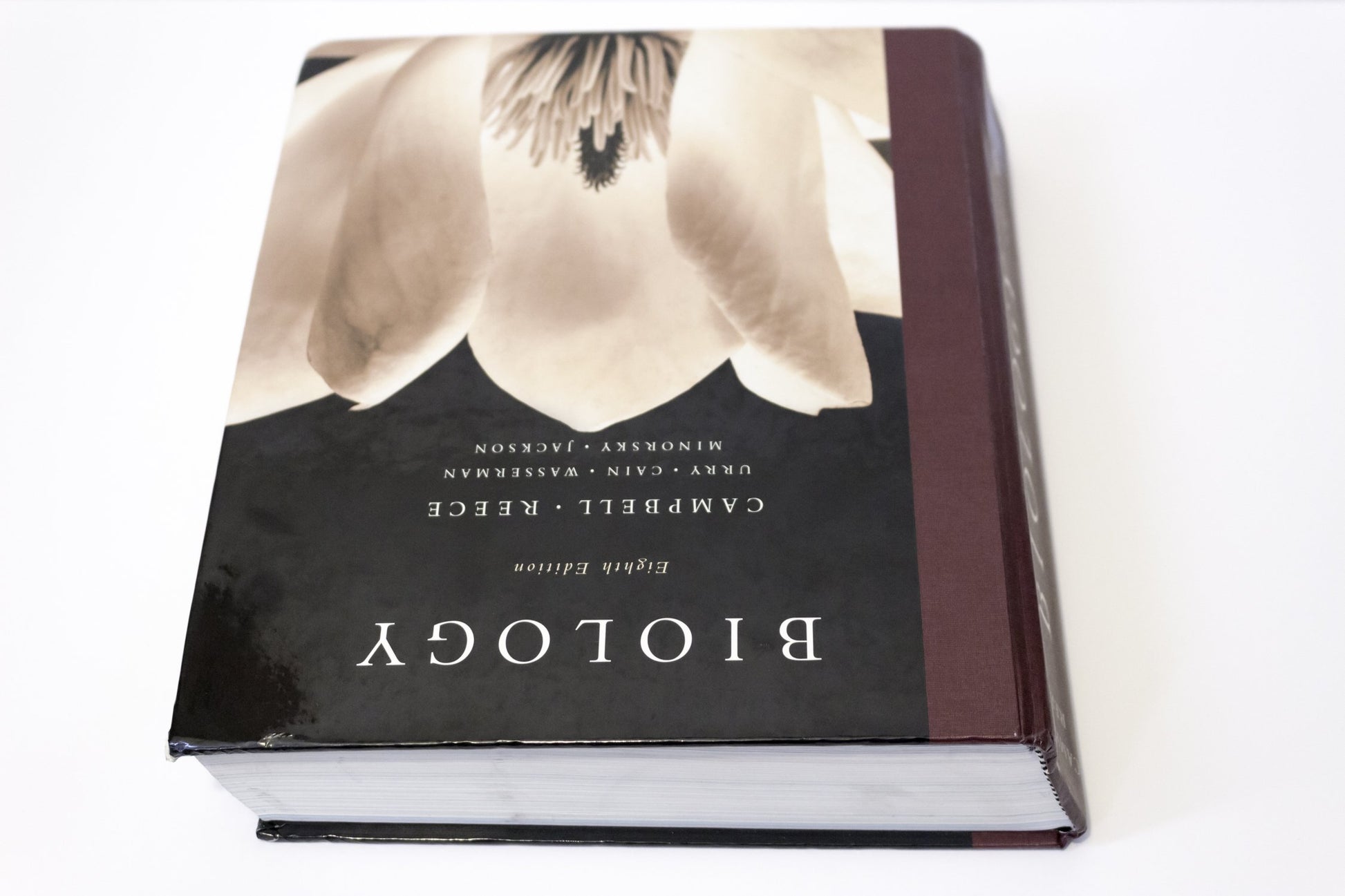 Biology, 8th Edition