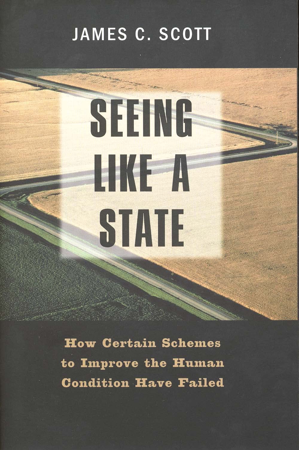 Seeing like a State: How Certain Schemes to Improve the Human