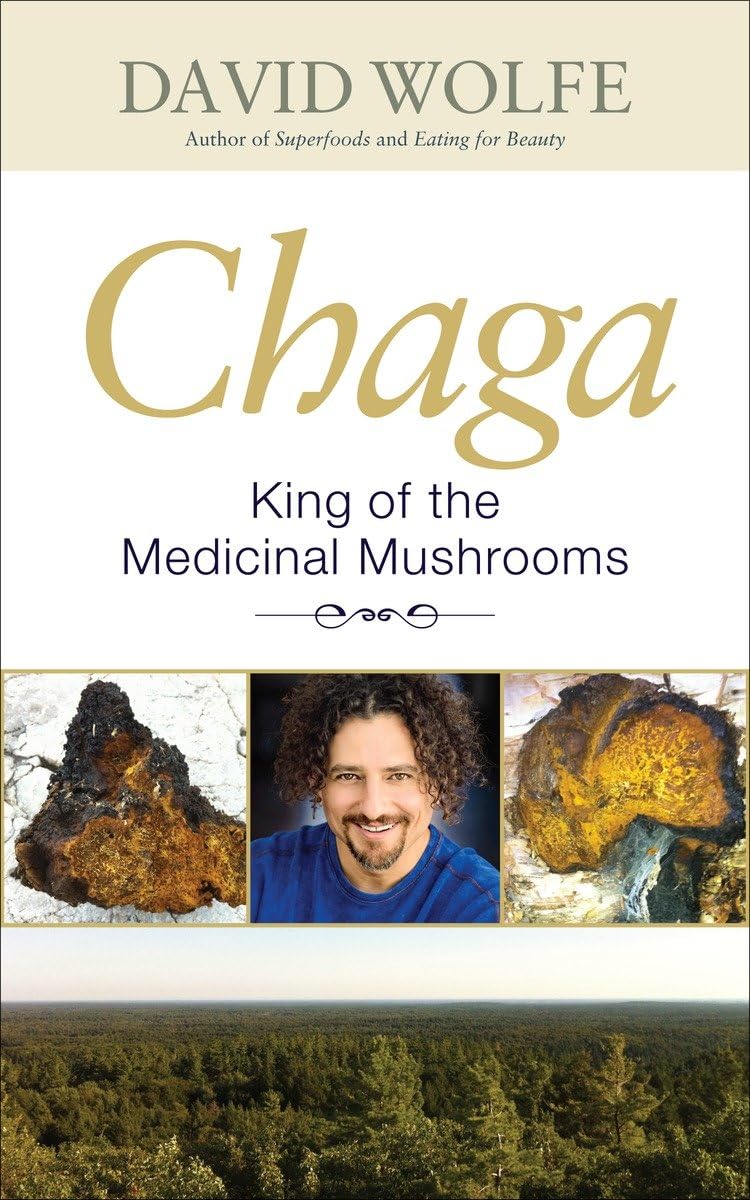 Chaga: King of the Medicinal Mushrooms by Wolfe, David