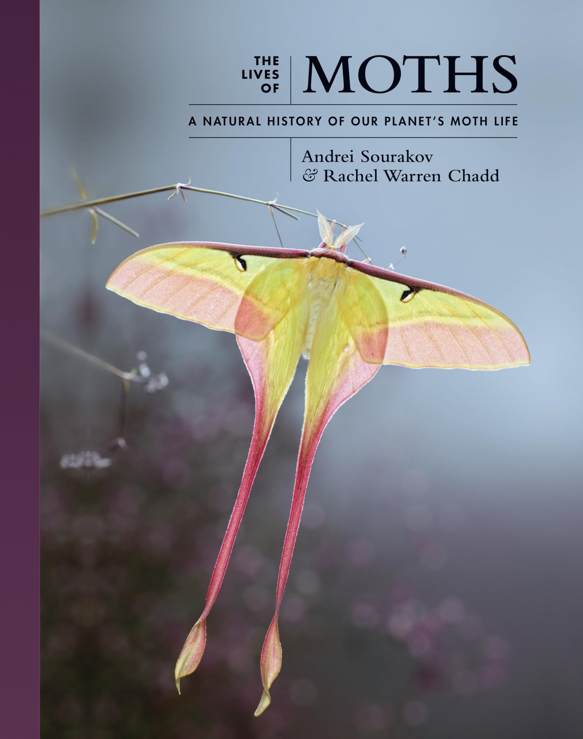 The Lives of Moths: A Natural History of Our Planet's Moth Life (The Lives of the Natural World)