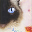 David Michie The Dalai Lamas Cat 3 Books Bundle Collection (The Dalai Lamas Cat, The Art of Purring, The Power of Meow)
