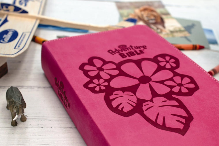 NKJV Adventure Bible Leathersoft Pink Full Color by Rich