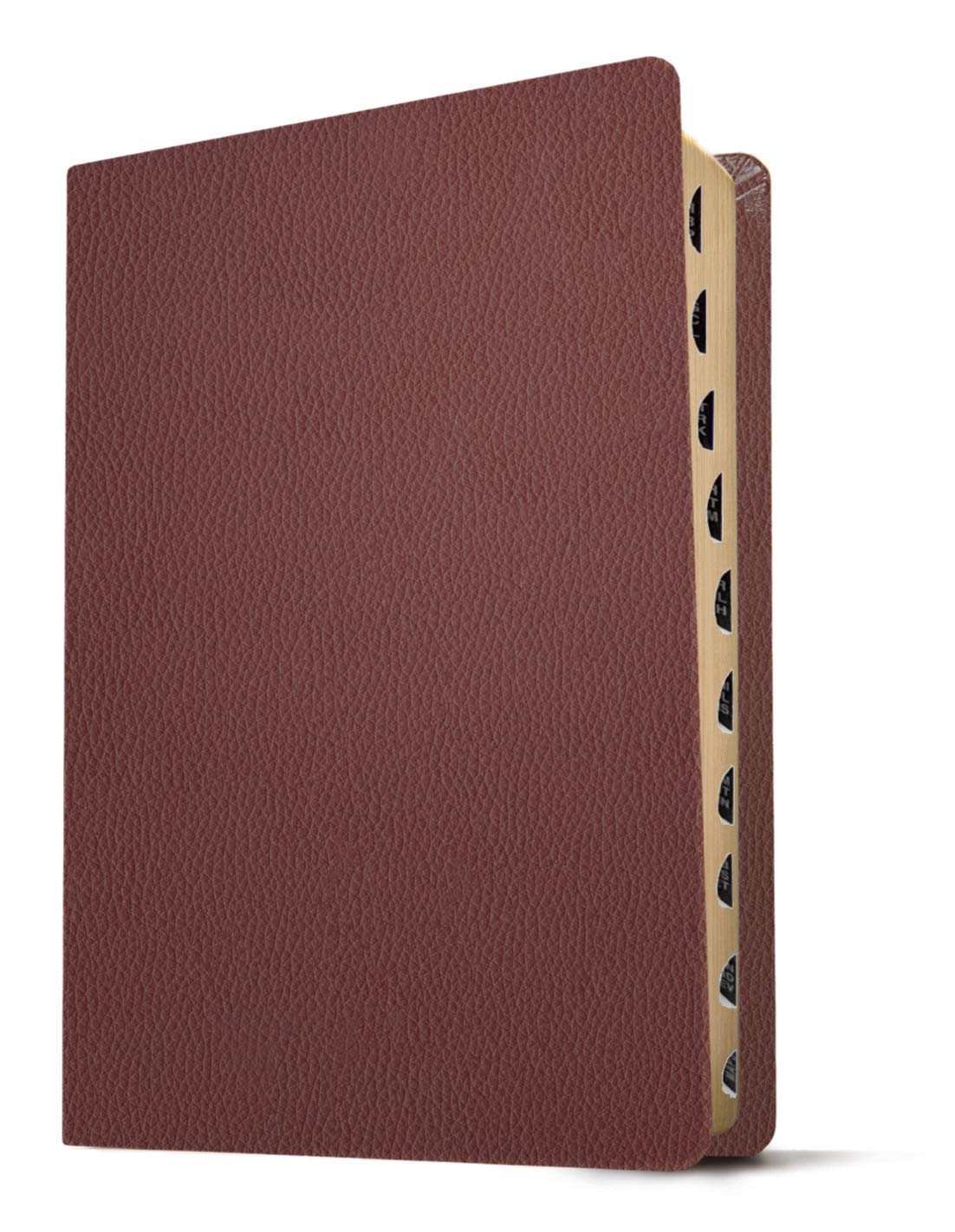 KJV Personal Size Giant Print Bible, Filament Enabled (Genuine Leather, Burgundy, Indexed, Red Letter): Includes Free Access to the Filament Bible App ... Notes, Devotionals, Worship Music, and Video