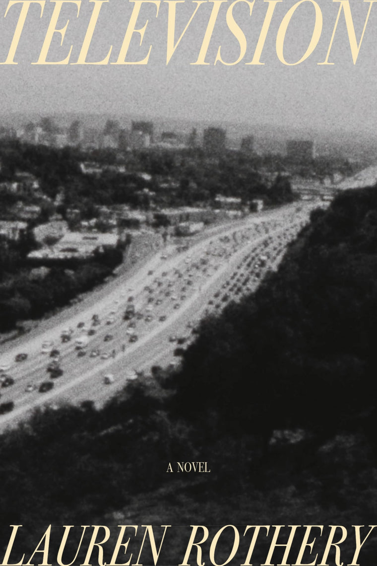 Television: A Novel of Luck