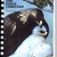 The Eagle Christian