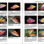 Reef Fish Identification Tropical Pacific 2nd Edition