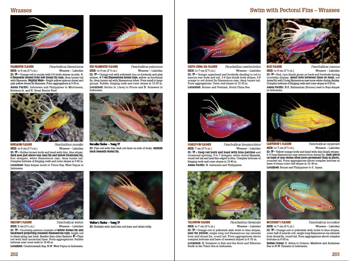 Reef Fish Identification Tropical Pacific 2nd Edition