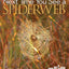 Next Time You See a Spiderweb