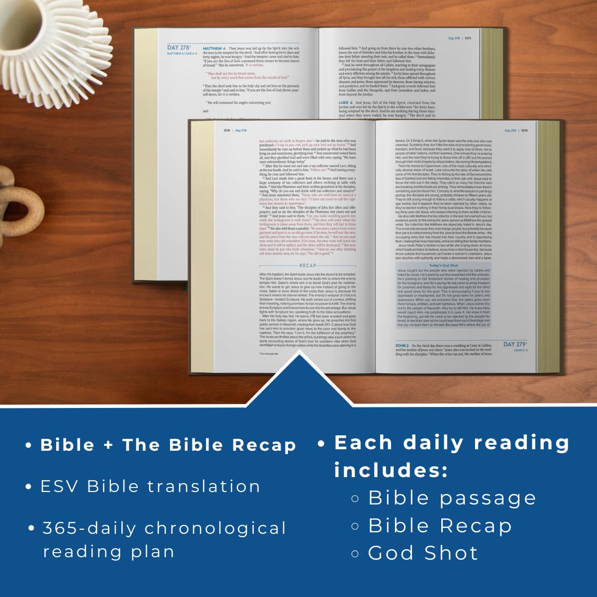 The Bible Recap 365-Day Chronological Study Bible: English Standard Version- ESV One Year Reading Plan