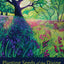 Planting Seeds of the Divine: Torah Commentaries to Cultivate Your Spiritual Practice