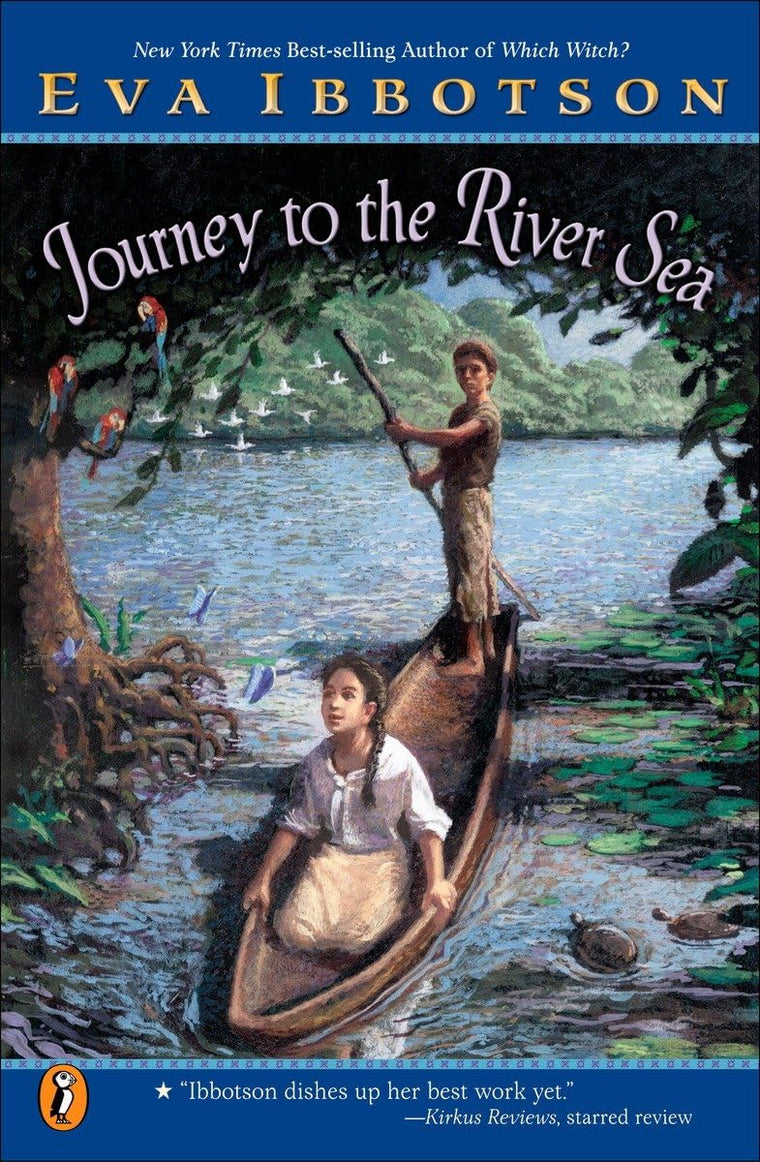 Journey to the River Sea by Ibbotson, Eva