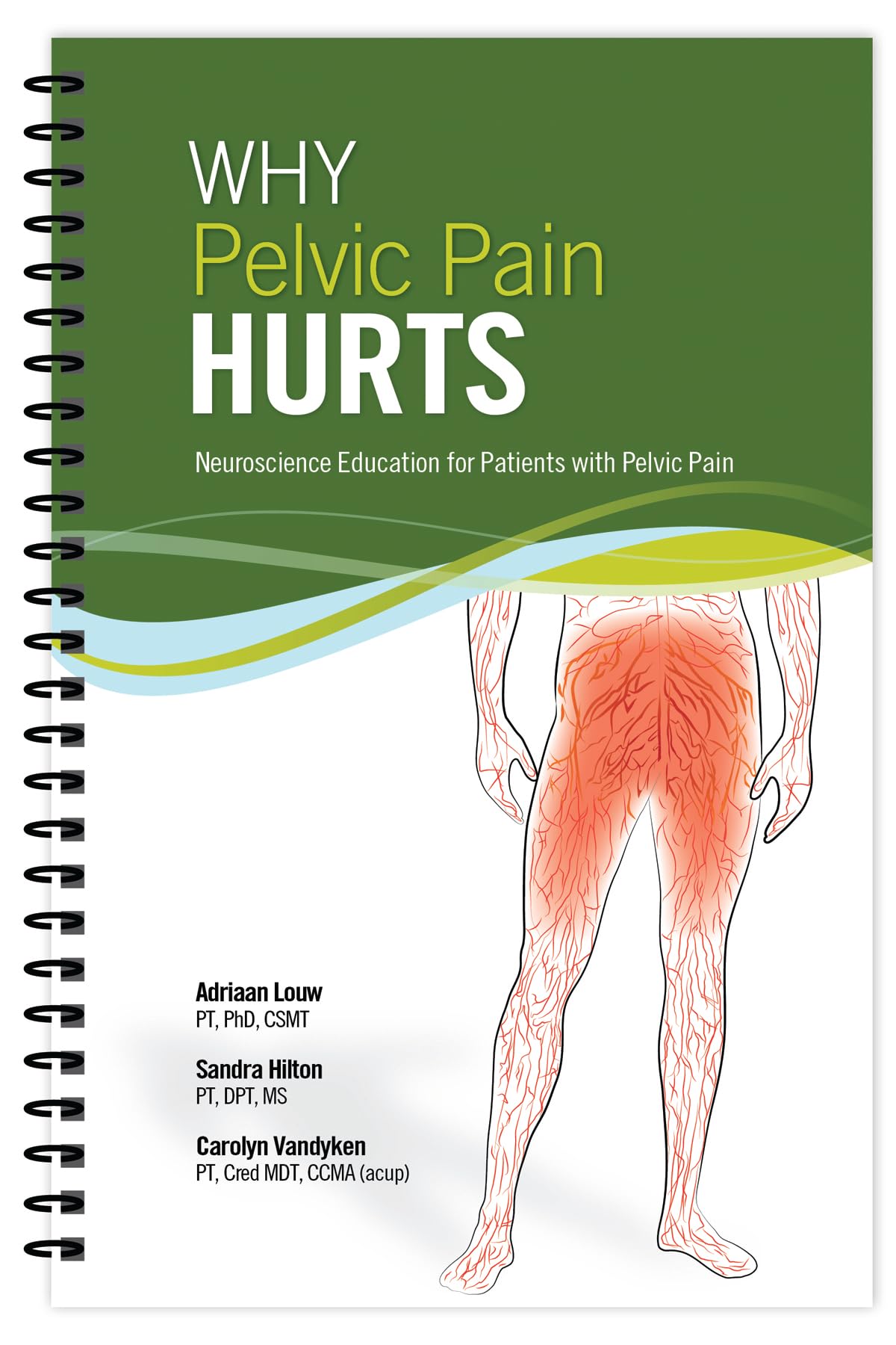 Why Pelvic Pain Hurts: Neuroscience Education for Patients w