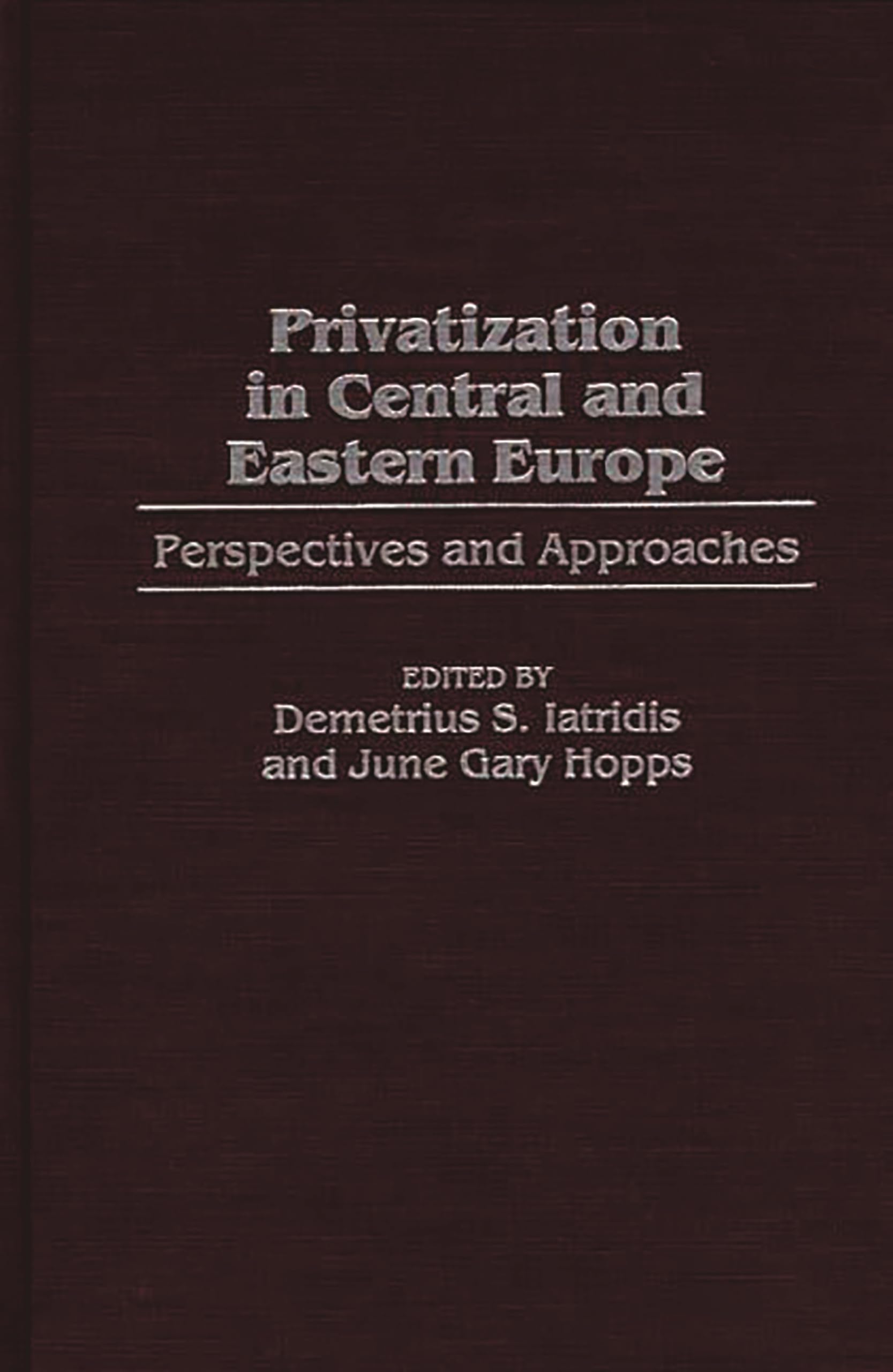 Privatization in Central and Eastern Europe: Perspectives and Approaches (Post-Communist Cultural Studies (Hardcover))