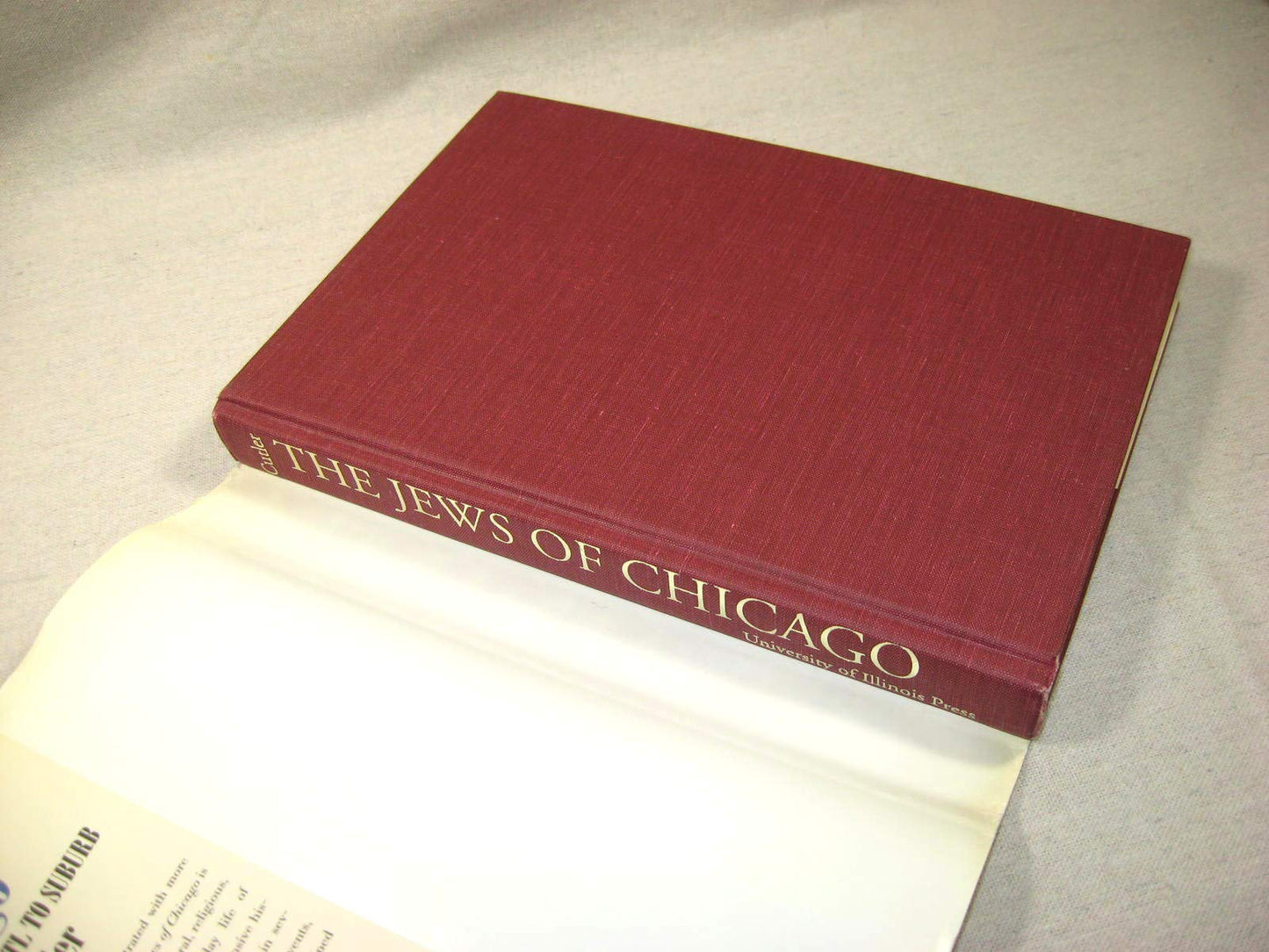 The Jews of Chicago: Fron Shtetl to Suburb (Ethnic History of Chicago)