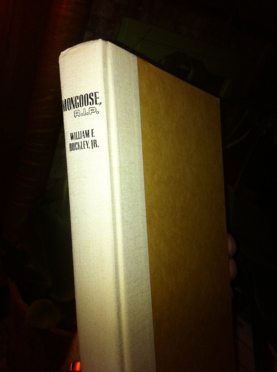 Mongoose, R.I.P.