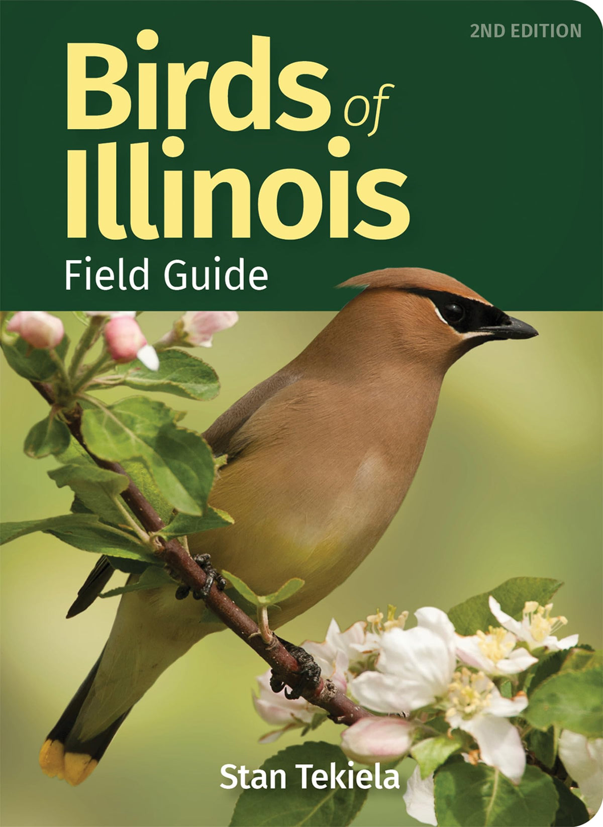 Birds of Illinois Field Guide (Bird Identification Guides)