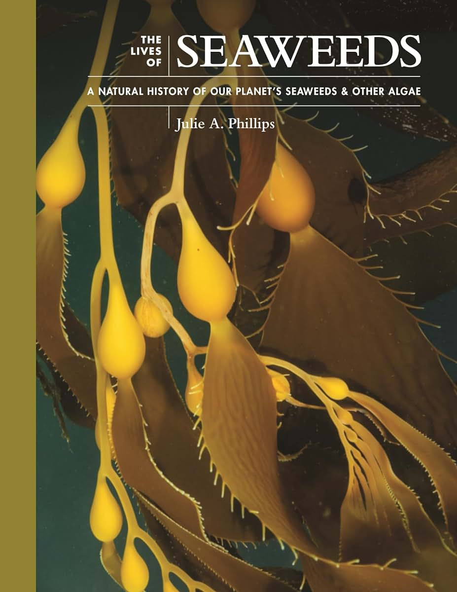 The Lives of Seaweeds: A Natural History of Our Planet's Seaweeds and Other Algae (The Lives of the Natural World, 4)