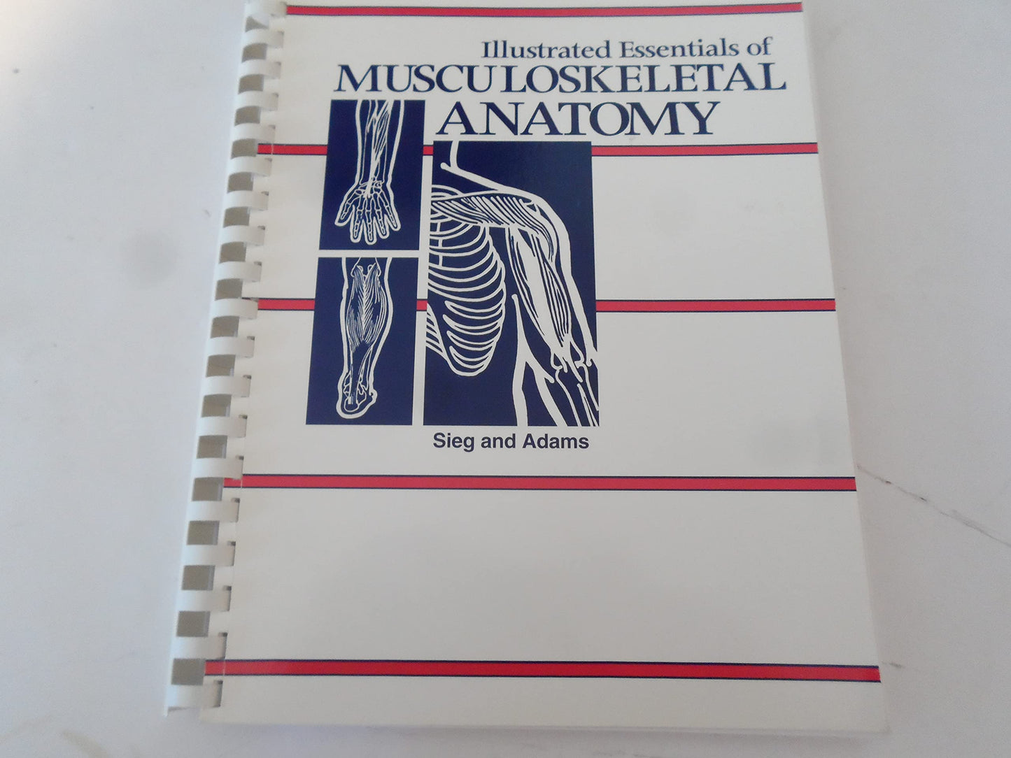 Illustrated Essentials of Musculoskeletal Anatomy by Kay W S