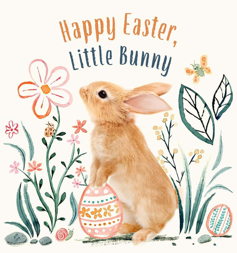 Happy Easter, Little Bunny: A Board Book (Baby Animal Tales)