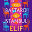 The Bastard of Istanbul