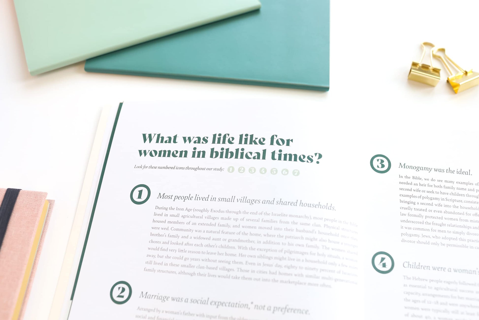 Brave and Beloved: A Bible Study for Women Exploring the Wisdom and Diversity of Women in the Bible