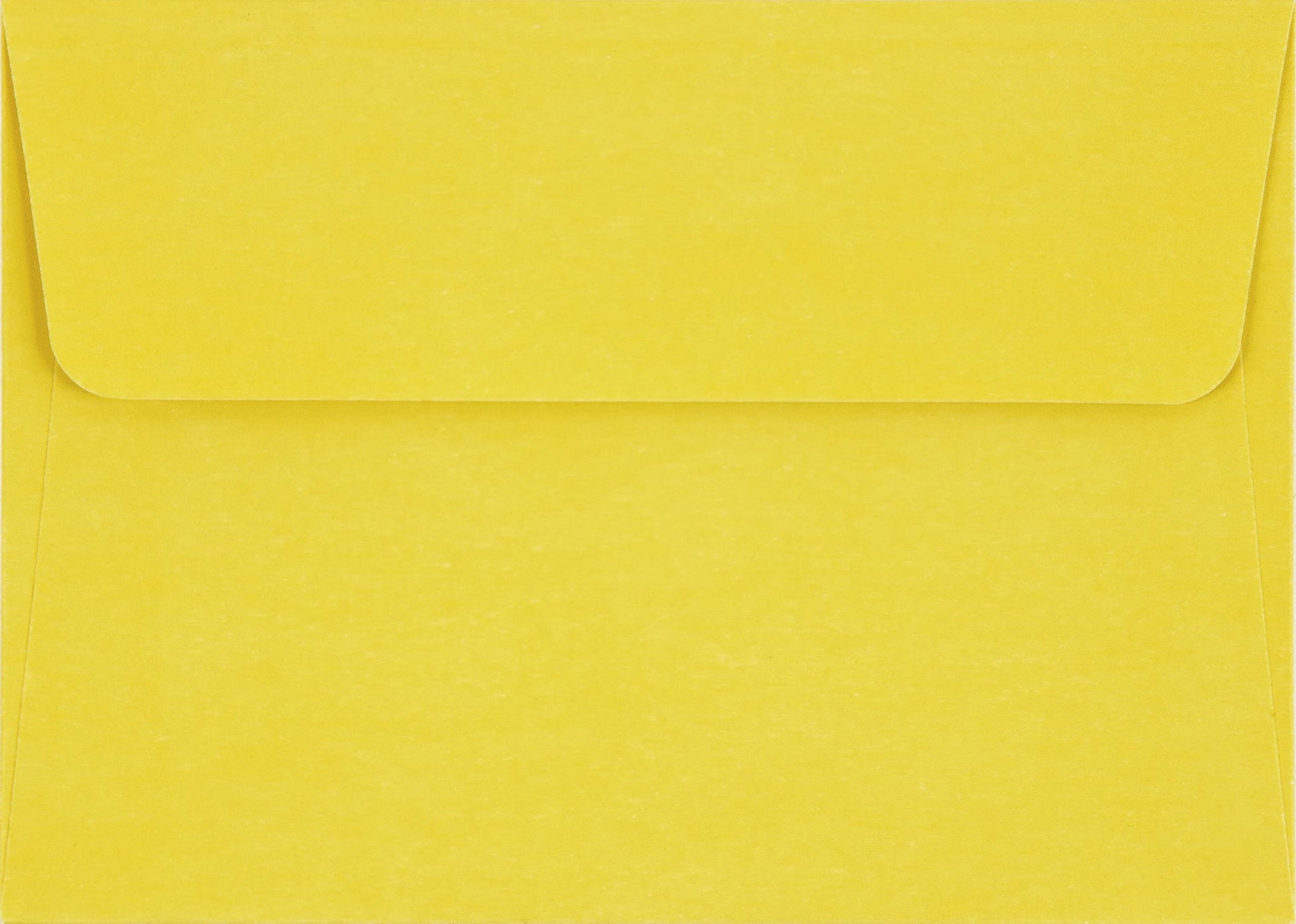 Tiffany Lemon Tree Note Cards (14 cards, 15 self-sealing envelopes)