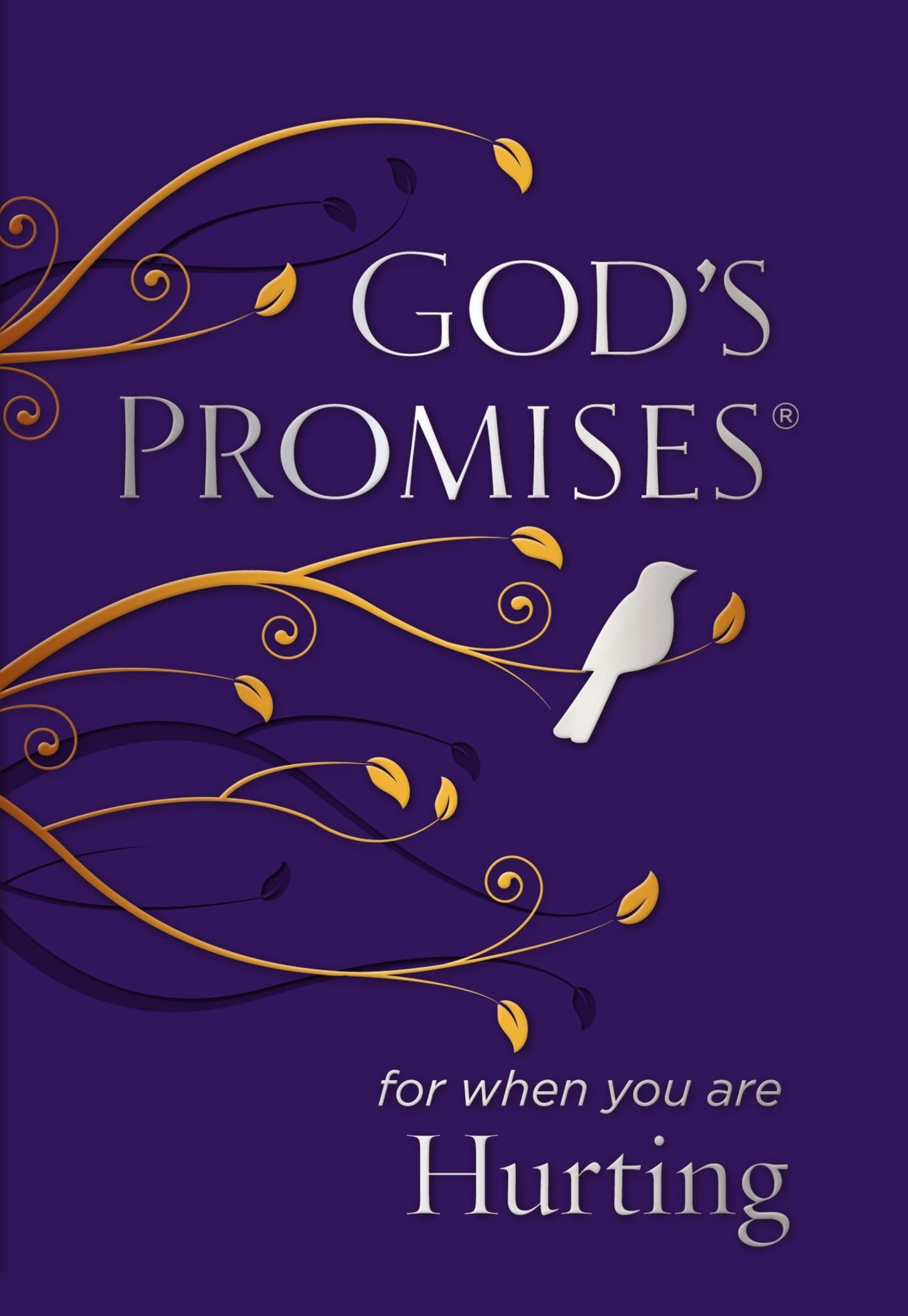 God's Promises for When You are Hurting: Bible Verses of Hop