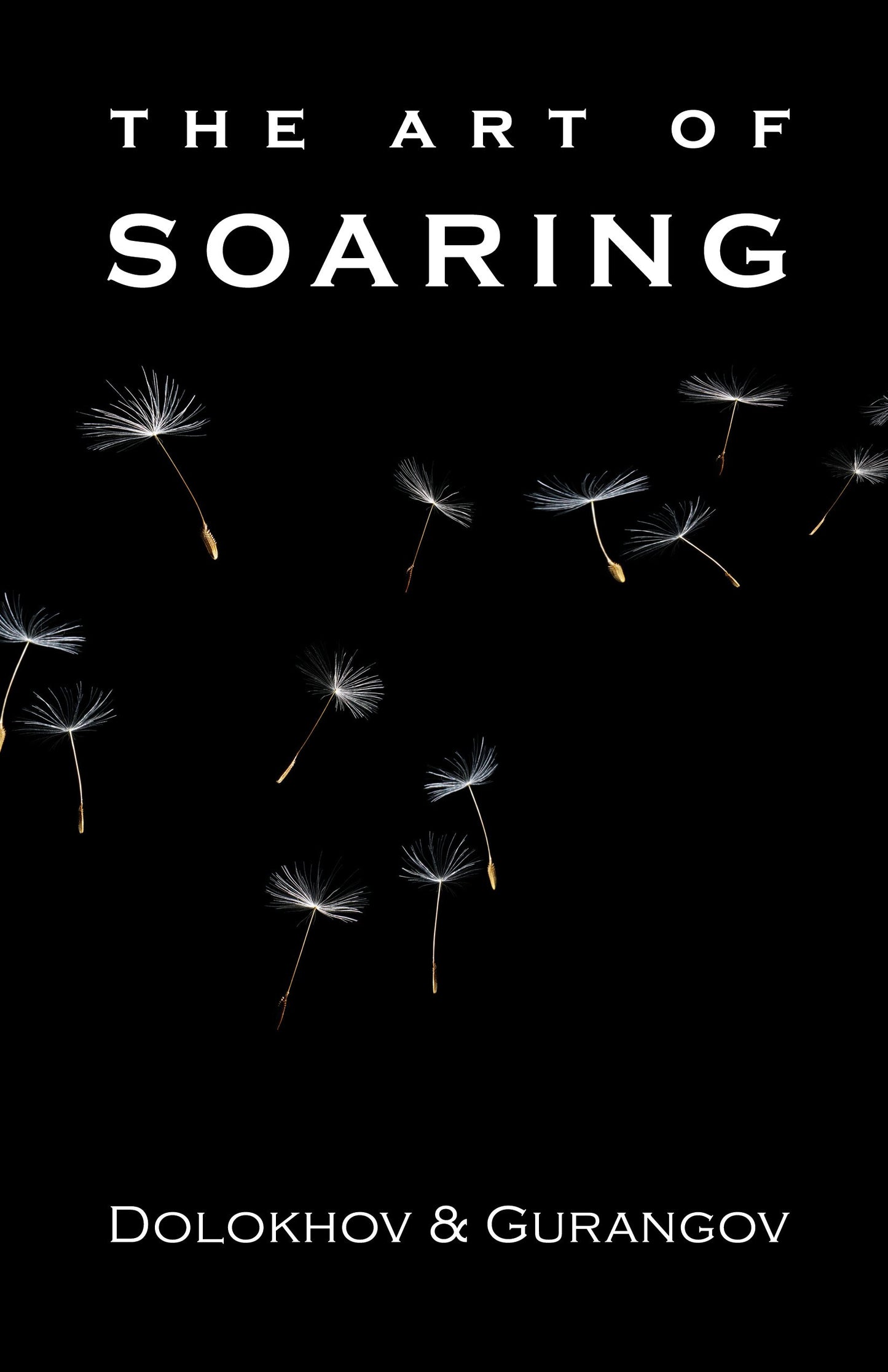 The Art of Soaring by Vladimir Dolokhov