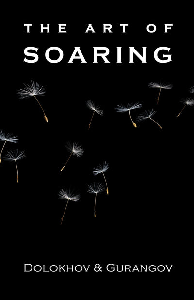 The Art of Soaring by Vladimir Dolokhov