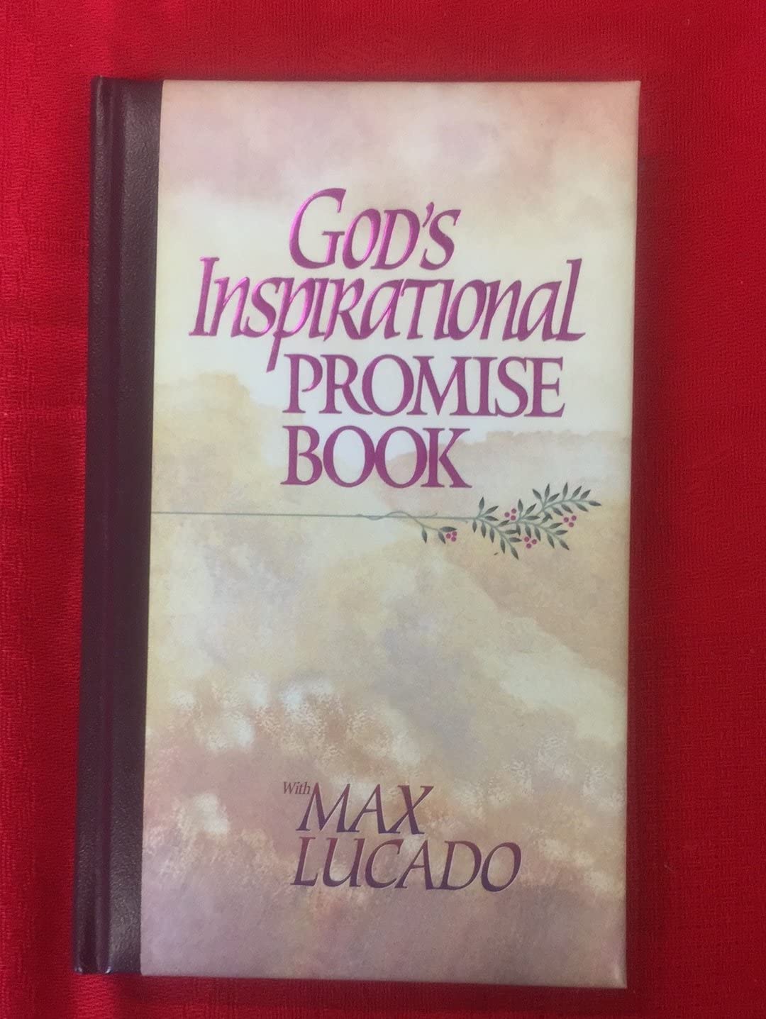 Gods Inspirational Promise Book