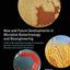 New and Future Developments in Microbial Biotechnology and Bioengineering: Trends of Microbial Biotechnology for Sustainable Agriculture and Biomedicine Systems: Diversity and Functional Perspectives