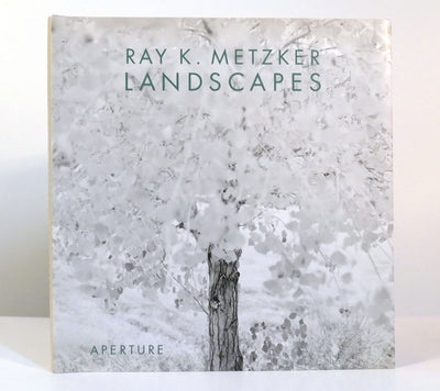 Ray K. Metzker: Landscapes