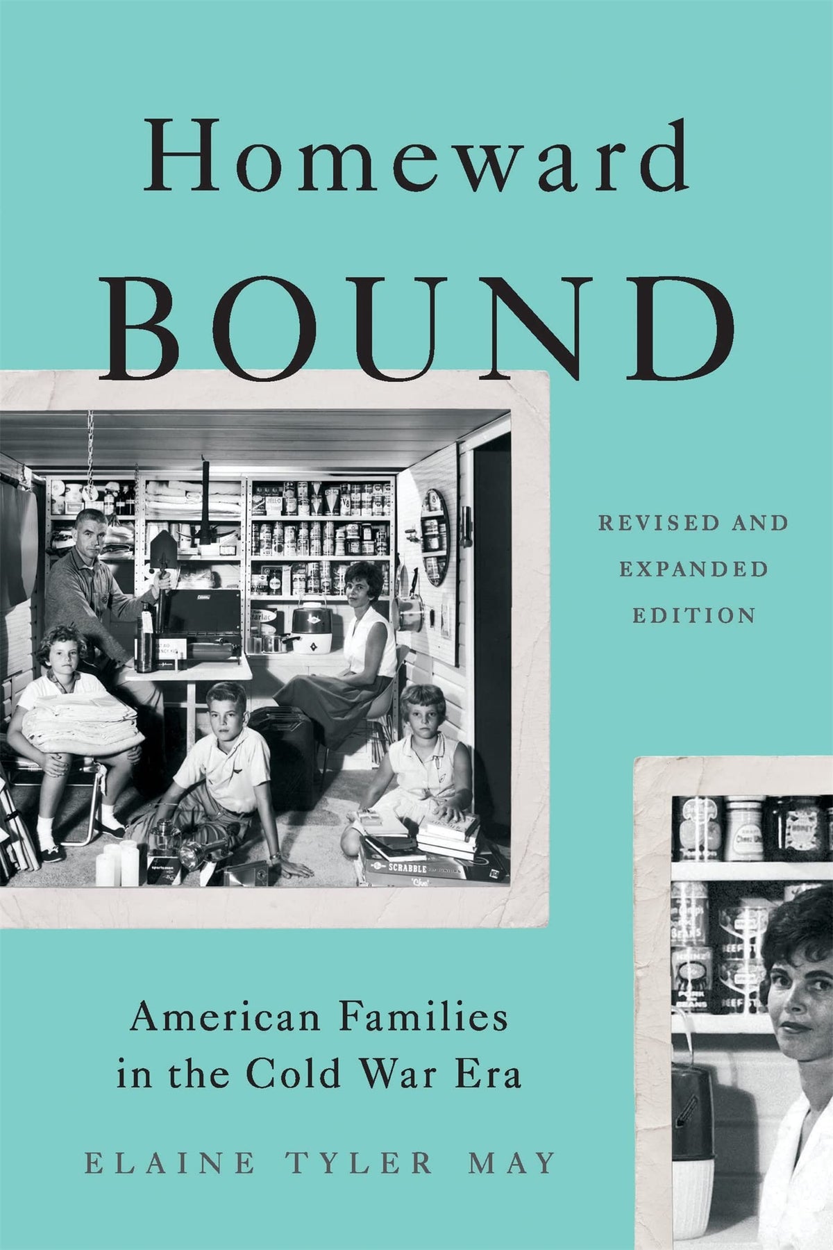 Homeward Bound: American Families in the Cold War Era
