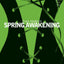 Spring Awakening (Modern Classics)