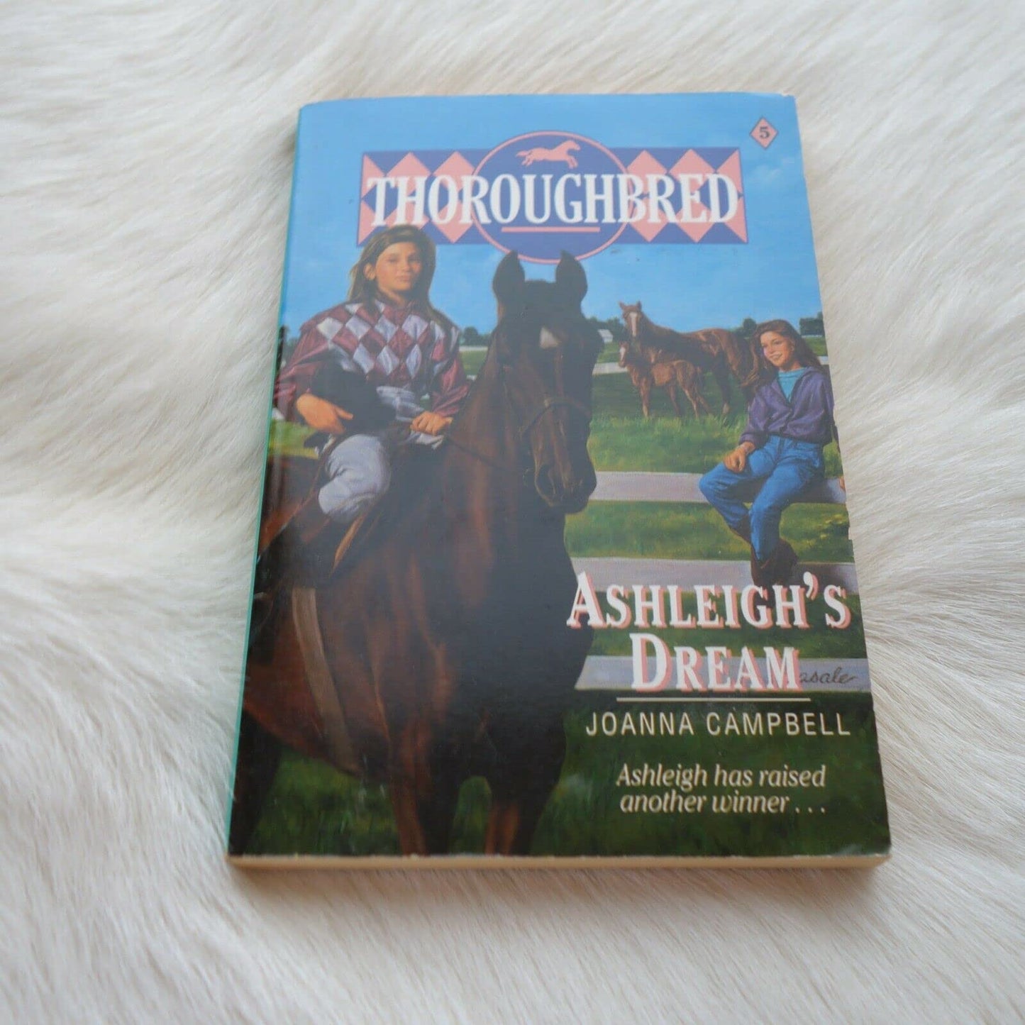 Ashleigh's Dream (Thoroughbred Series #5)