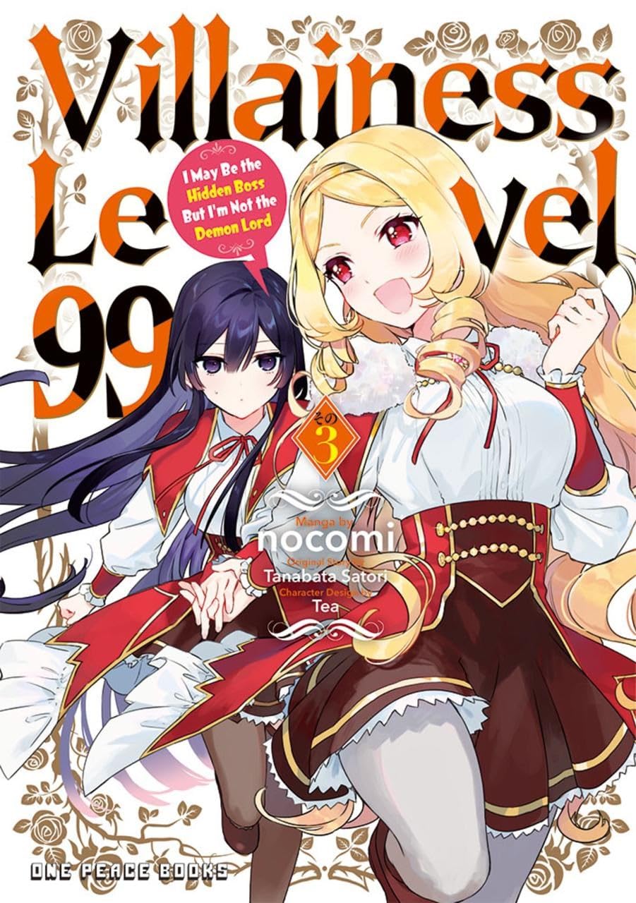 Villainess Level 99 Volume 3: I May Be the Hidden Boss But I'm Not the Demon Lord (Villainess Level 99 Series)