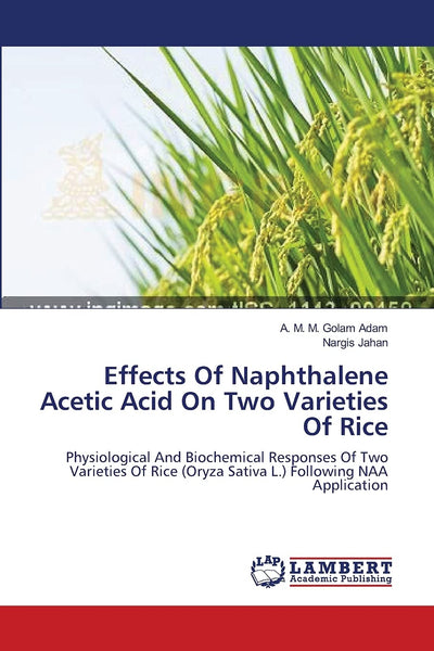Effects Of Naphthalene Acetic Acid On Two Varieties Of Rice: Physiological And Biochemical Responses Of Two Varieties Of Rice (Oryza Sativa L.) Following NAA Application