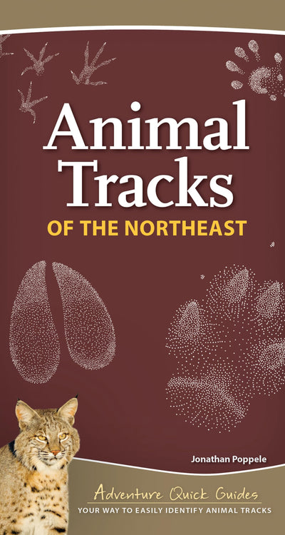 Animal Tracks of the Northeast: Your Way to Easily Identify Animal Tracks (Adventure Quick Guides)