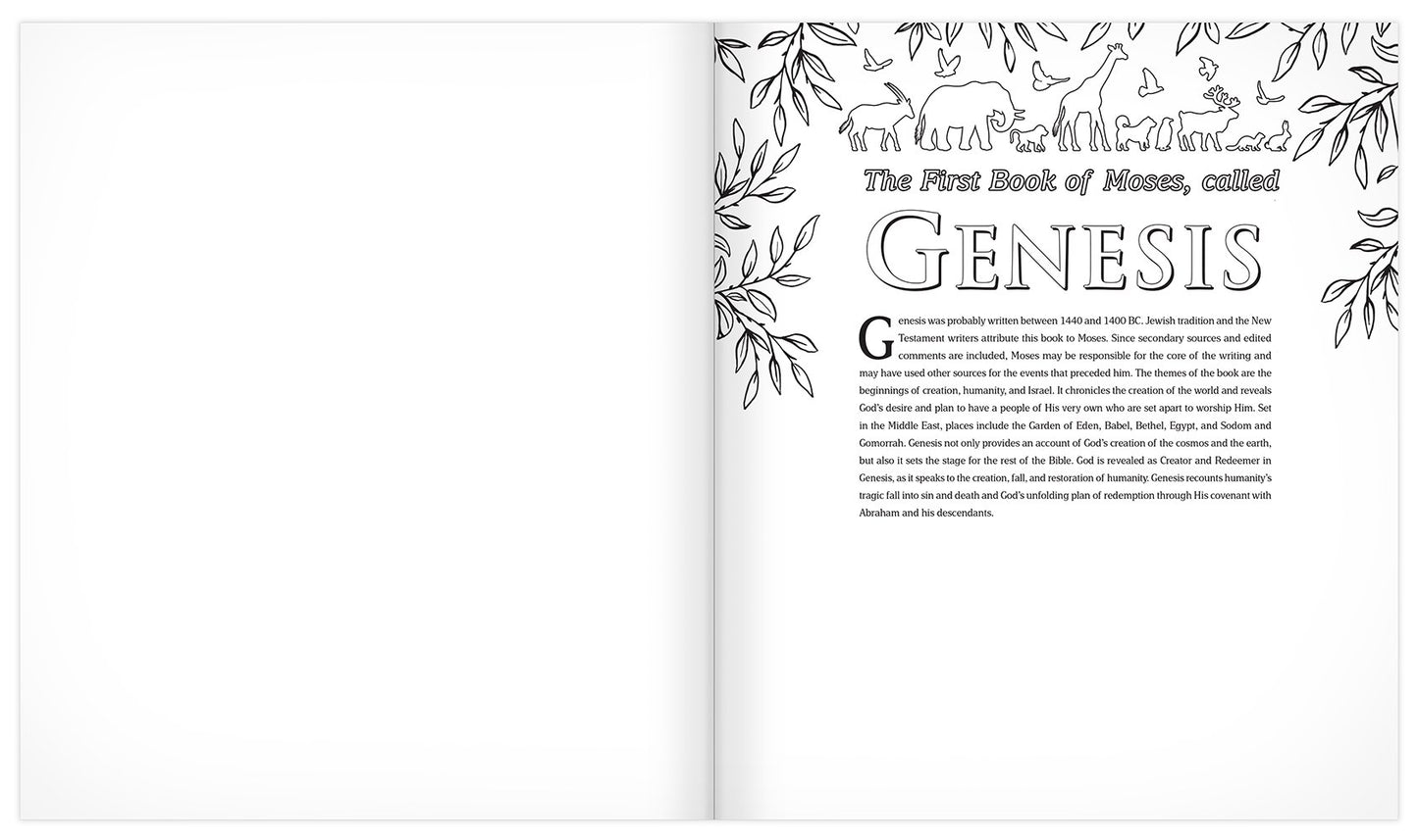 The MEV Promises of God Creative Journaling Bible: Modern English Version