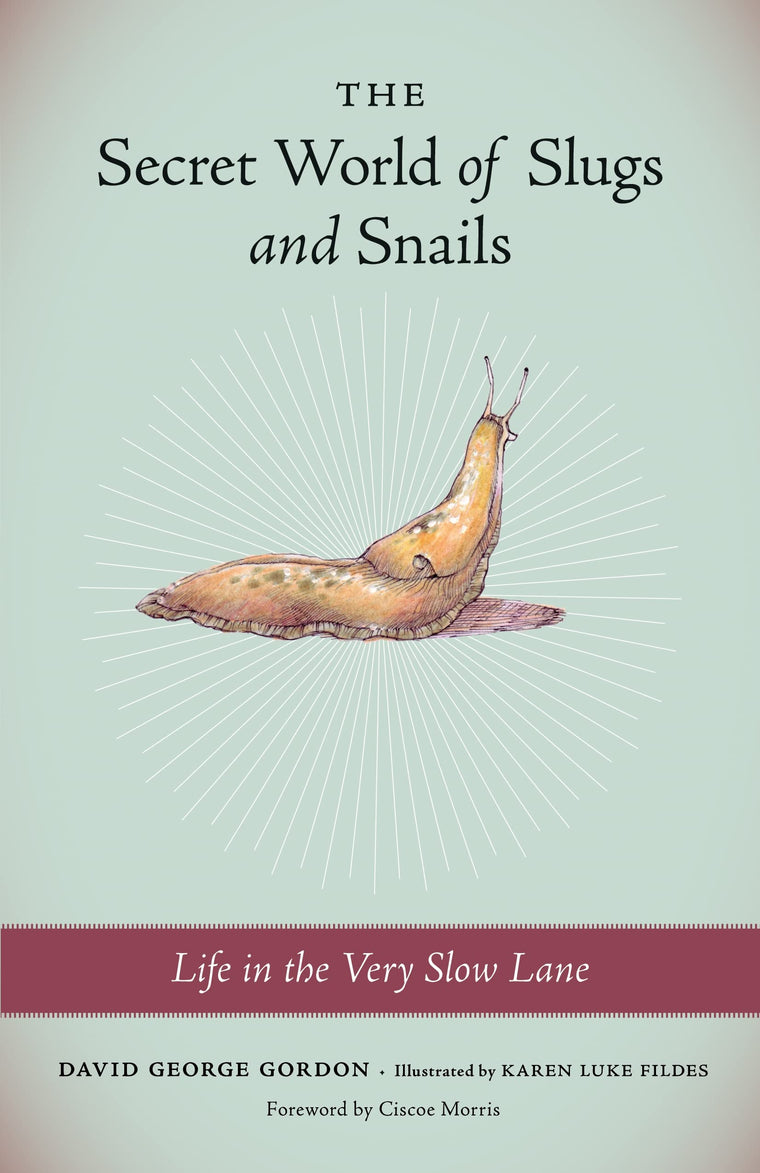 The Secret World of Slugs and Snails: Life in the Very Slow Lane
