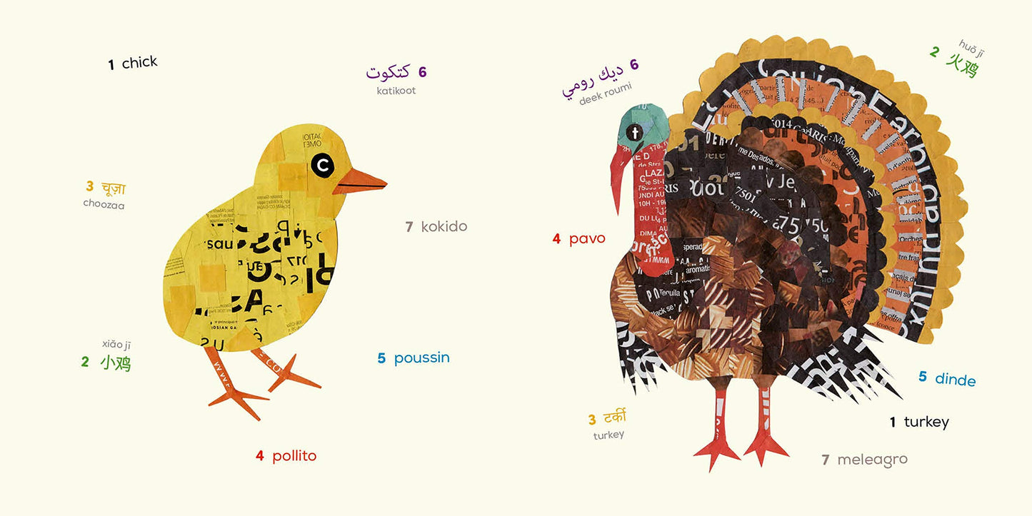 Birds (Multilingual Board Book) (Words of the World Series)