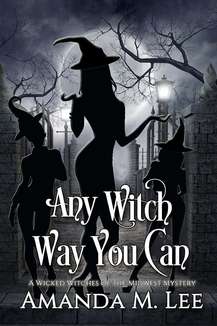 Any Witch Way You Can (Wicked Witches of the Midwest)