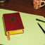 NIV, The Grace and Truth Study Bible (Trustworthy and Practical Insights), Personal Size, Leathersoft, Burgundy, Red Letter, Comfort Print
